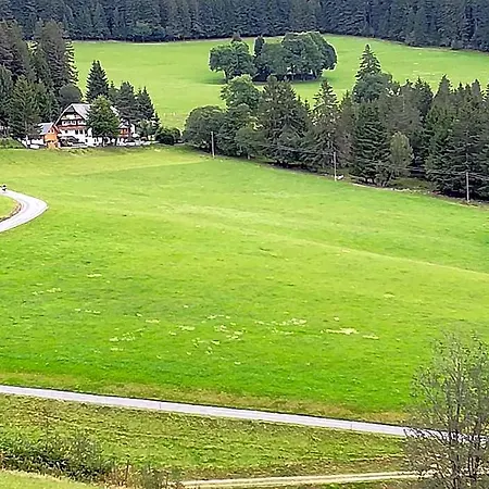 Hotel Schwarzwaldgasthaus Salenhof 3*