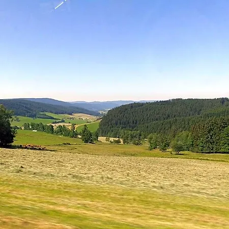 Schwarzwaldgasthaus Salenhof Hotel 3*