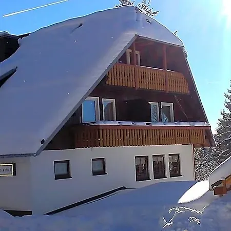 Hotel Schwarzwaldgasthaus Salenhof 3*