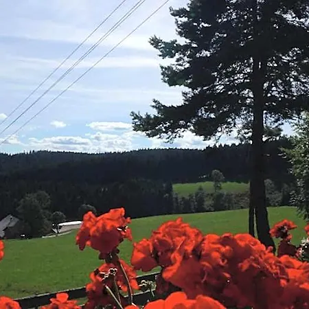 Schwarzwaldgasthaus Salenhof 3*