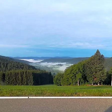 Schwarzwaldgasthaus Salenhof Titisee-Neustadt