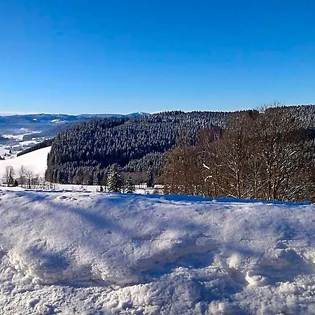 Hotel Schwarzwaldgasthaus Salenhof