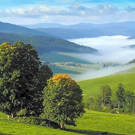 Hotel Schwarzwaldgasthaus Salenhof 3*