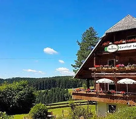 Schwarzwaldgasthaus Salenhof Hotel 3*