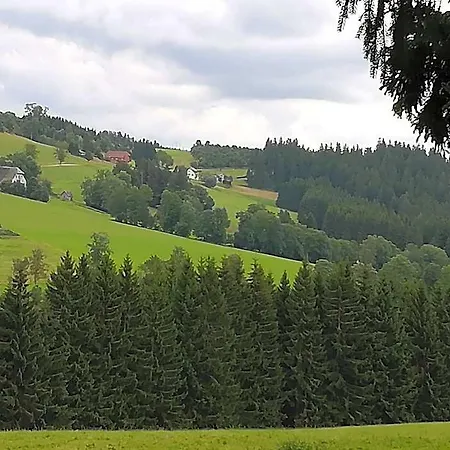 Hotel Schwarzwaldgasthaus Salenhof Titisee-Neustadt