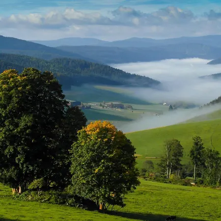 Отель Schwarzwaldgasthaus Salenhof 3*