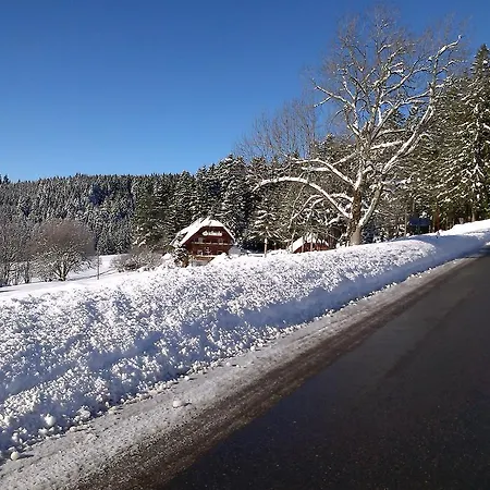 Schwarzwaldgasthaus Salenhof 3* טיטיזי-נוישטאדט