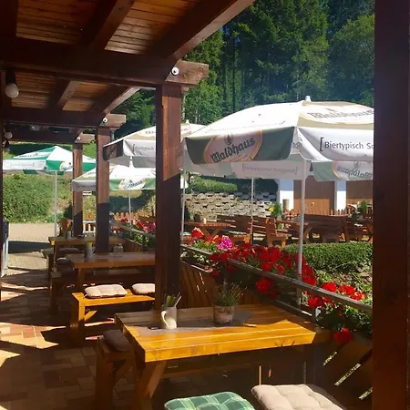 Отель Schwarzwaldgasthaus Salenhof 3*