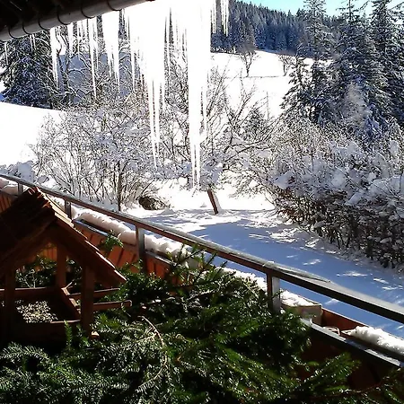 מלון Schwarzwaldgasthaus Salenhof 3*