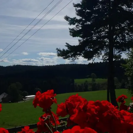 فندق Schwarzwaldgasthaus Salenhof 3*