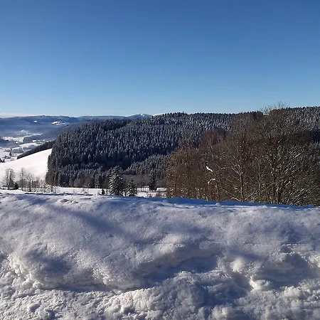 מלון Schwarzwaldgasthaus Salenhof 3*