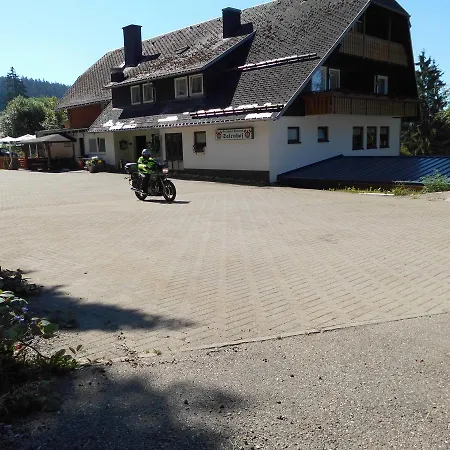 Schwarzwaldgasthaus Salenhof 3* تيتيسي نيوستادت