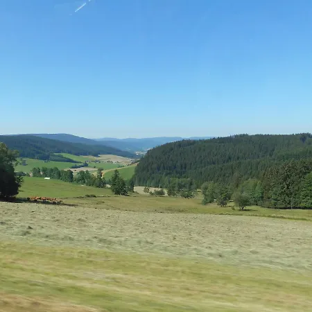 Schwarzwaldgasthaus Salenhof 3* تيتيسي نيوستادت