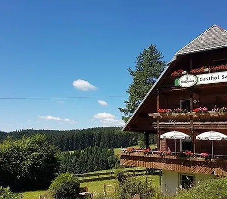 Schwarzwaldgasthaus Salenhof 3* تيتيسي نيوستادت