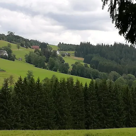 Schwarzwaldgasthaus Salenhof 3* تيتيسي نيوستادت