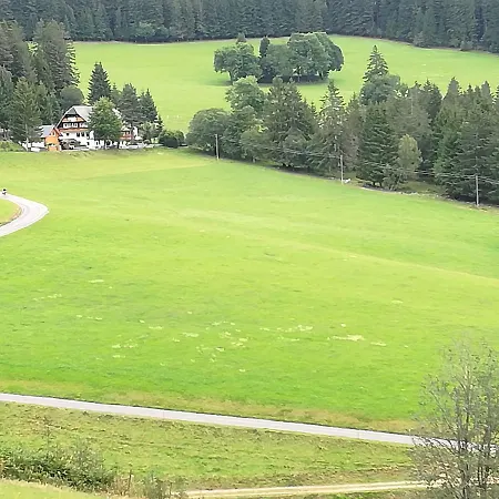 Schwarzwaldgasthaus Salenhof 3* Титизее-Нойштадт