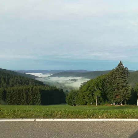 Отель Schwarzwaldgasthaus Salenhof 3*