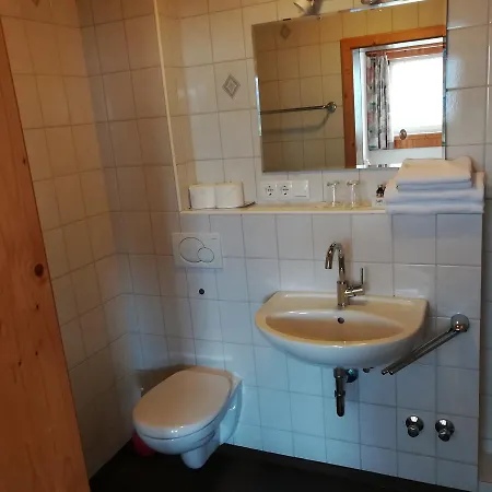 Schwarzwaldgasthaus Salenhof 3* تيتيسي نيوستادت