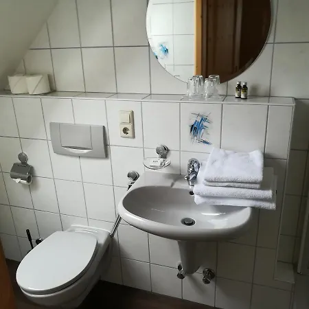 Отель Schwarzwaldgasthaus Salenhof