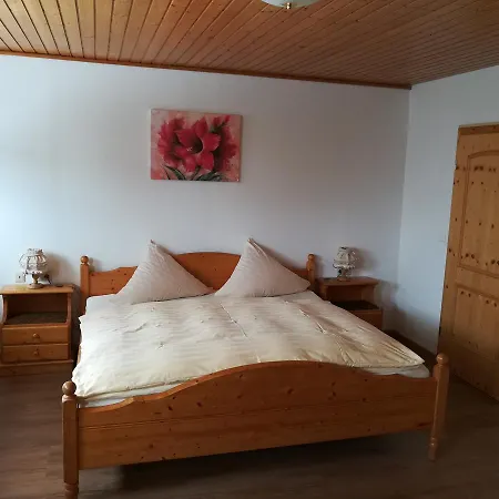 فندق Schwarzwaldgasthaus Salenhof تيتيسي نيوستادت